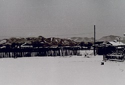 1968年3月日限富士浅間神社鳥居.jpg
