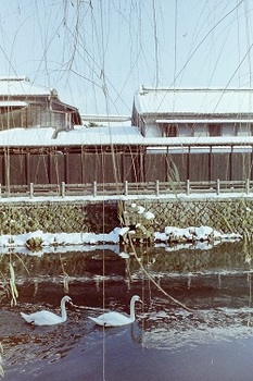 1978年1月4日雪の栃木１.jpg