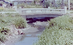 1980年中の橋（清水川).jpg