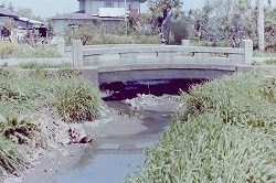1980年撮影の中乃橋.jpg