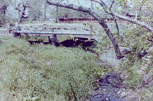 1980年赤津川橋 周辺.jpg