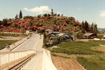1980年錦着山全景(バイパス歩道橋上より）.jpg