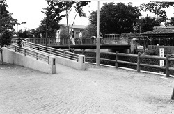 1980年頃公園橋.jpg