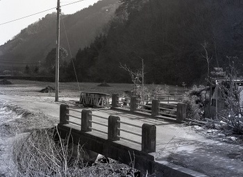 1982年1月種入橋.jpg