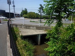 2013年6月旧赤津川橋(下流側より）.jpg