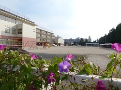 2013年9月栃木中央小学校.jpg