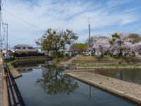 2015年4月室町付近の巴波川.jpg