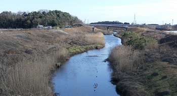 三杉川と願成寺橋.jpg