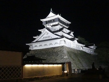 夜の小倉城.jpg