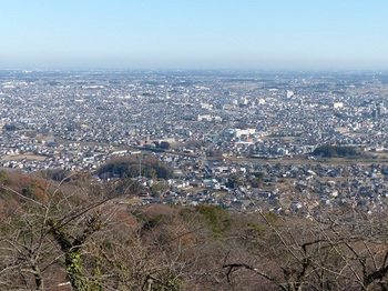 太平山見晴台より栃木市街地を望む.jpg