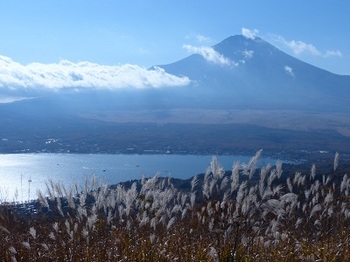 富士山(山中村より）.jpg