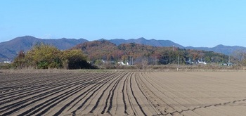 岩舟町静の秋景色.jpg