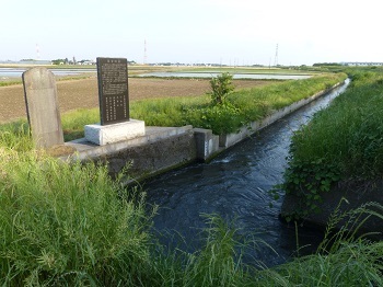 川島堰から取水した用水路.jpg