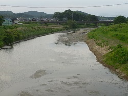 川谷橋上流域２.jpg