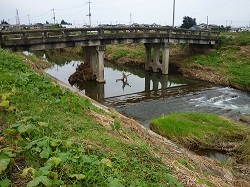 新井橋１.jpg