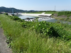 新西野田堰付近１.jpg