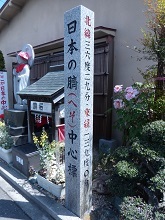 日本の臍中心標.jpg