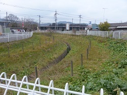 旧永野川河道１.jpg