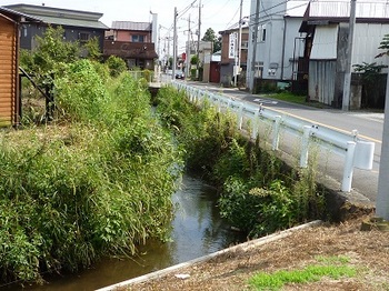 旧鍋山街道脇を流れる旧赤津川.jpg