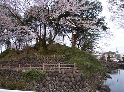栃木城跡２.jpg