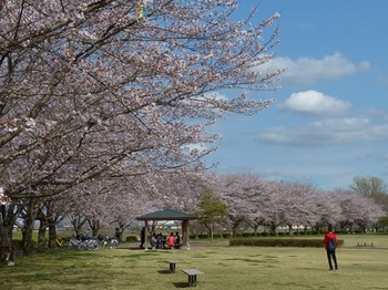 永野川緑地公園.jpg
