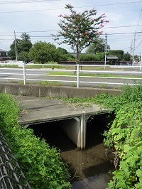 現在の赤津川橋辺り.jpg