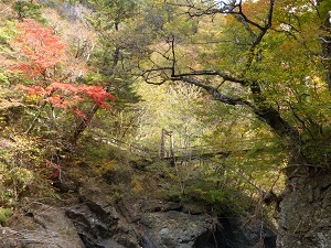 留春の滝吊橋１.jpg