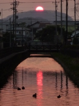県庁堀の夕陽.jpg