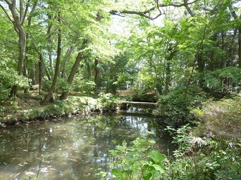 翁島庭園の池.jpg
