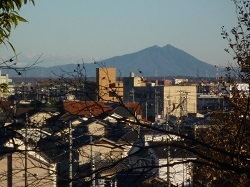 芝塚山6.jpg