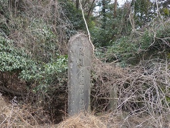 藤坂峠脇の石碑３.jpg