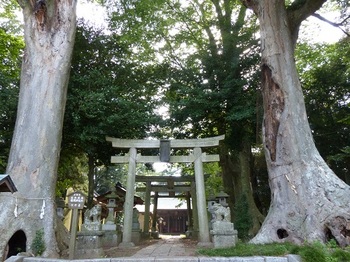藤岡神社１.jpg