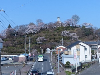 錦着山の桜１.jpg