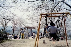 錦着山公園1988年4月２.jpg