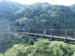 鬼怒川立岩吊橋.jpg